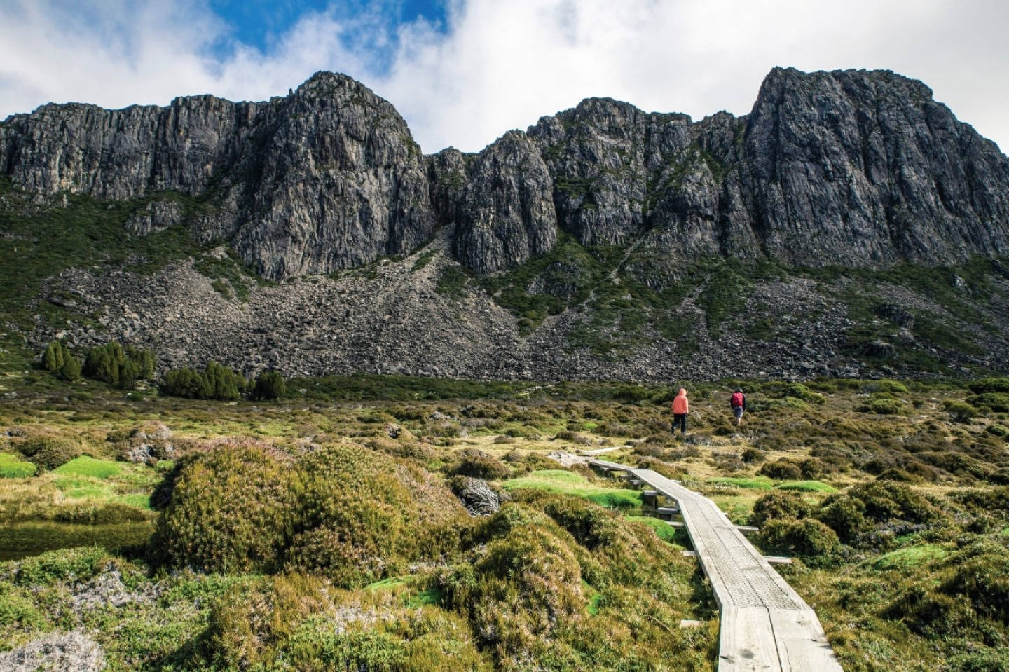 Tasmania Path Rocky Mountain Wallpaper