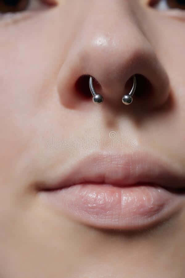 Taylor Ink Septum Piercing Healing Wallpaper