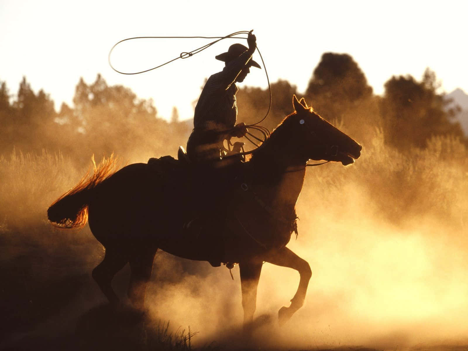 Team Roping In The Dust Wallpaper