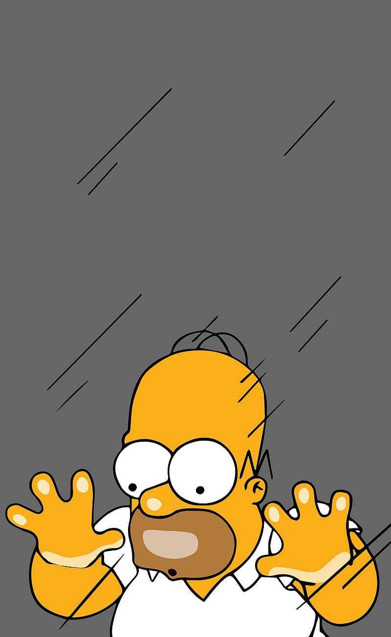 Teasing Homer Simpson Funny Wallpaper