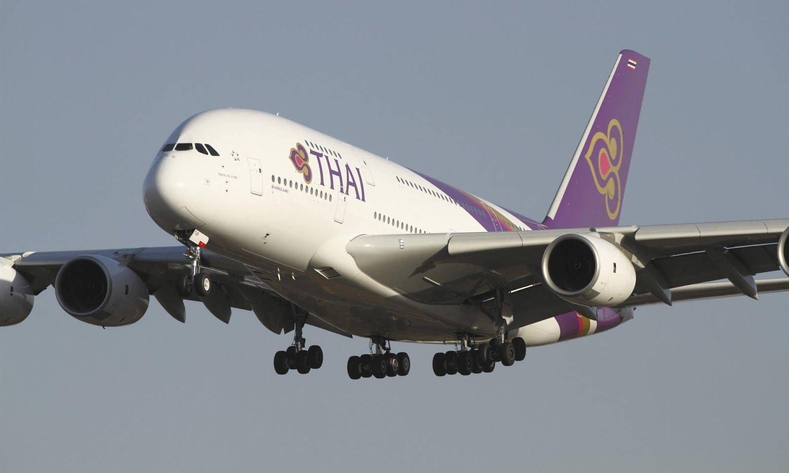 Thai Airways Airplane In Clear Sky Wallpaper