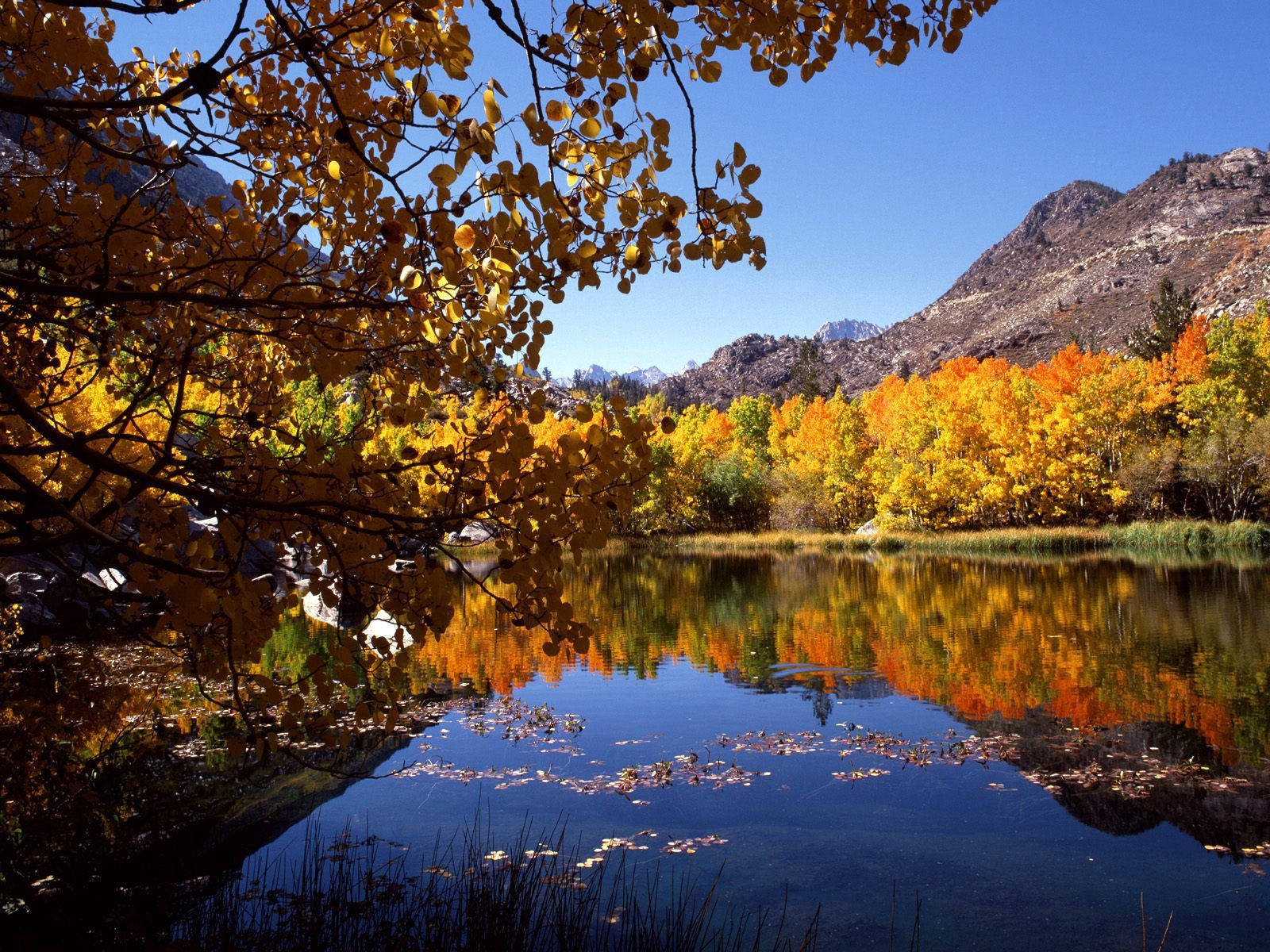 The Beautiful Colors Of Autumn Reflected In A Serene Lake. Wallpaper