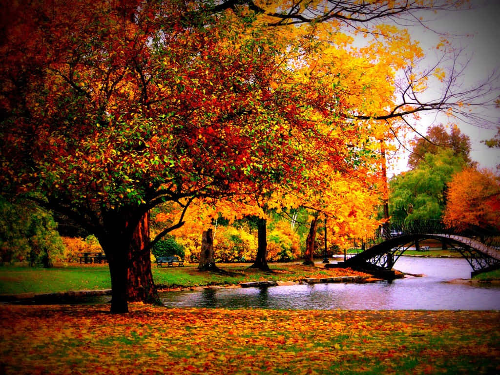 The Beauty Of Autumn Wallpaper