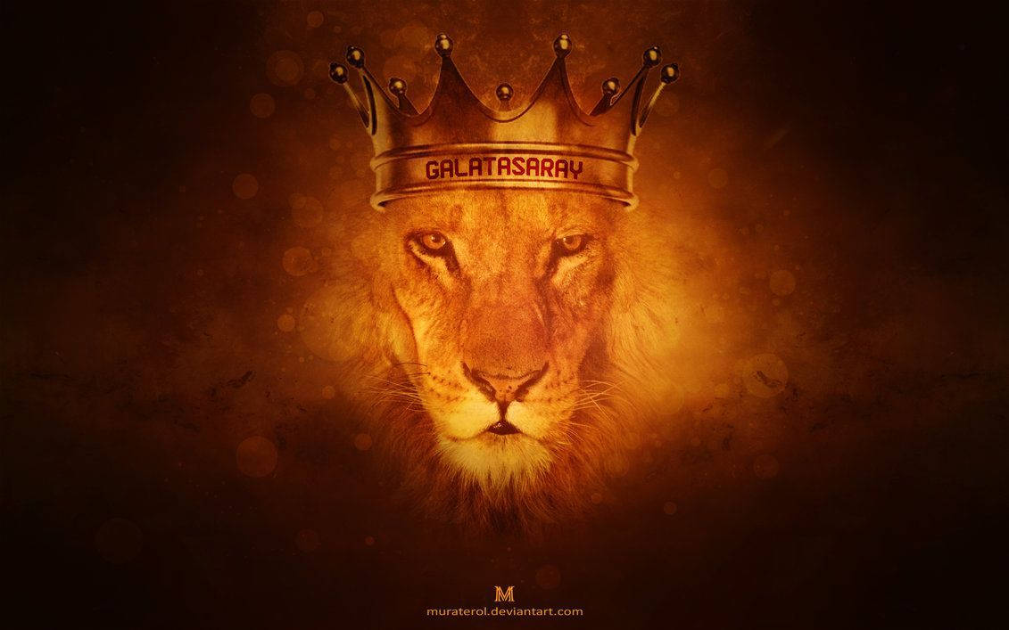 The Majestic Lion King Of Galatasaray Wallpaper