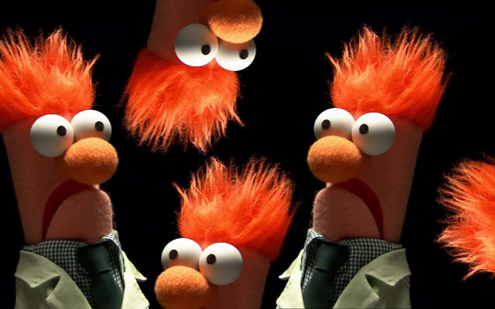 The Muppets - A Group Of Orange Stuffed Animals Wallpaper