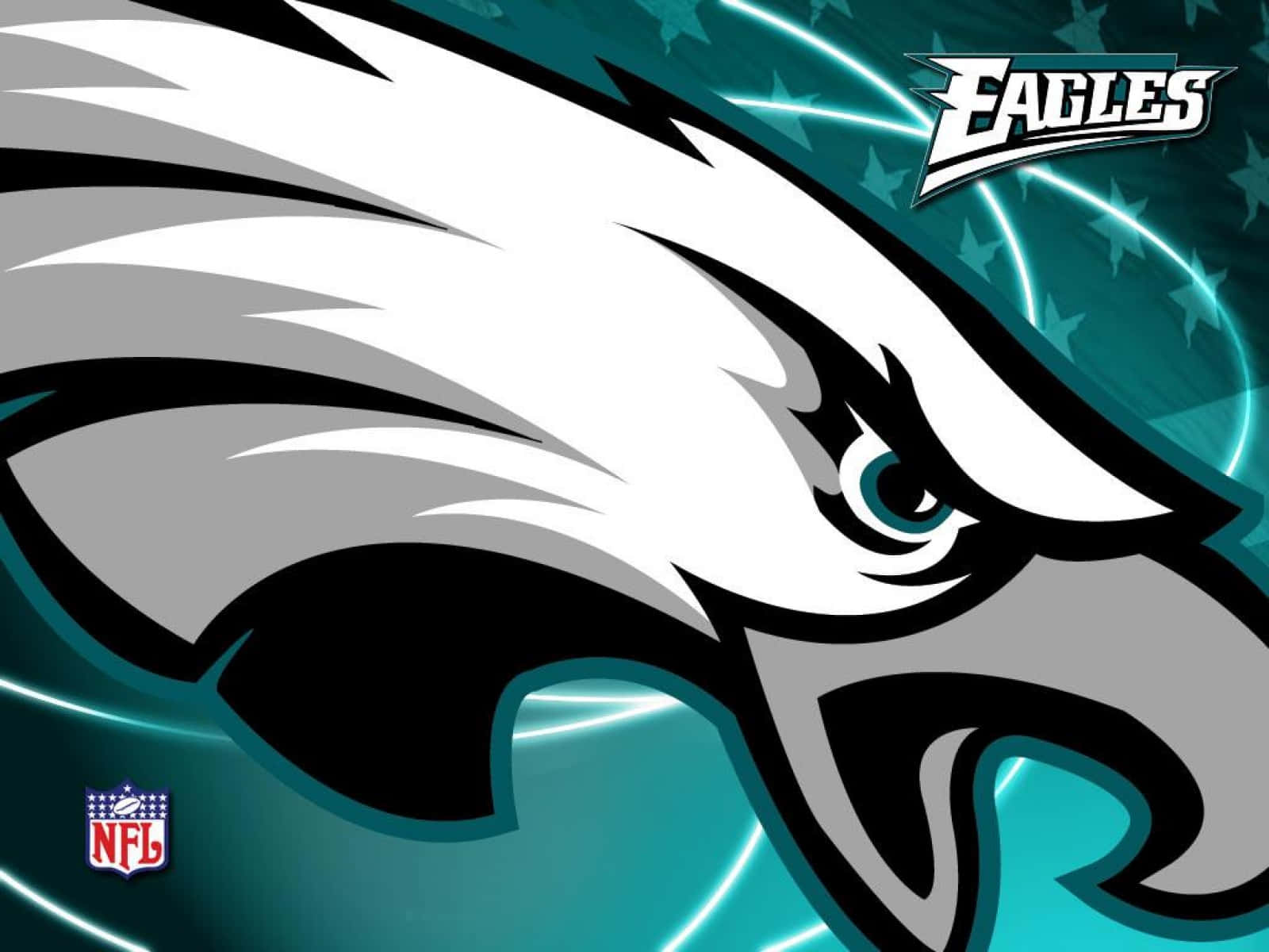 The Philadelphia Eagles Take Flight Wallpaper