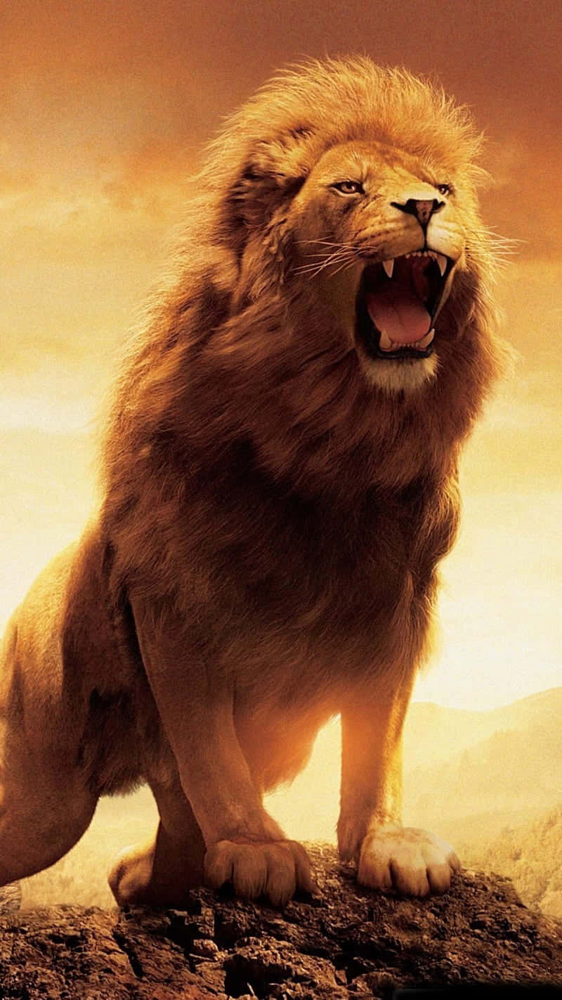 “the Power And Majesty Of A Roaring Lion” Wallpaper