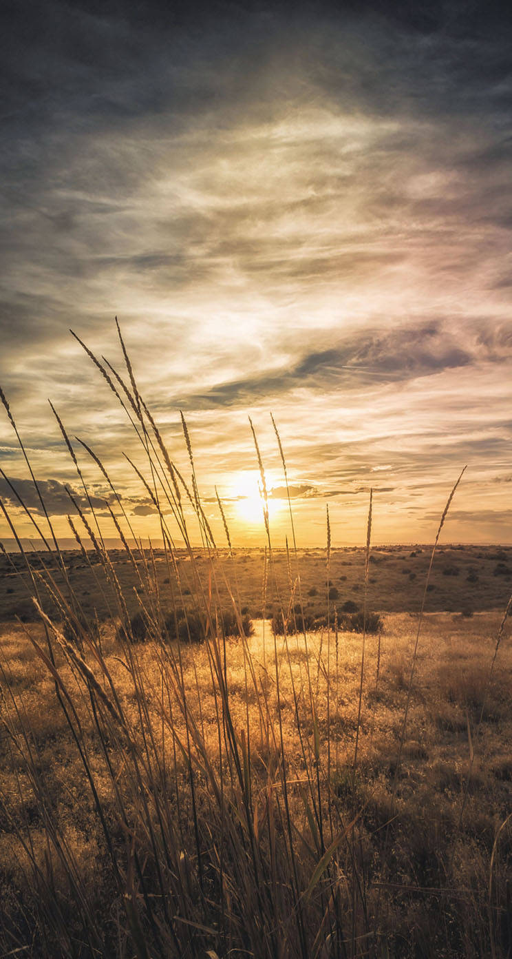 The Wilderness In Idaho Wallpaper