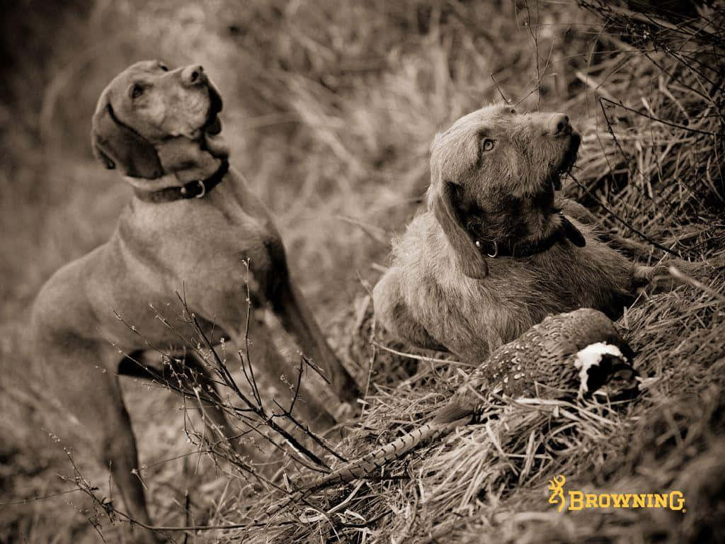 Thematic Browning Desktop Background Wallpaper