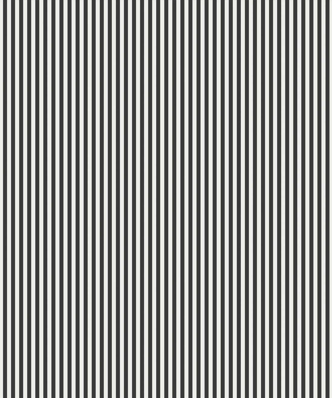 Thin Black And White Stripes Wallpaper