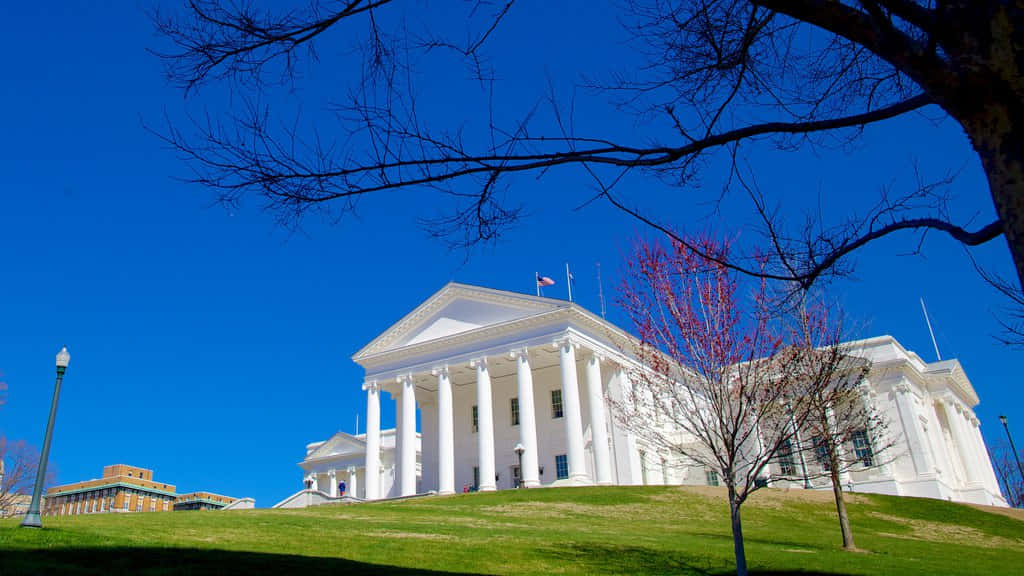 Thin Trees At The Virginia State Capitol Wallpaper