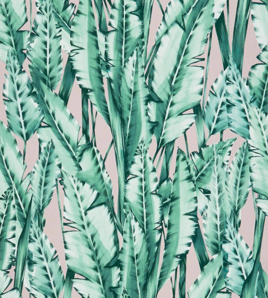 Tiger Leaf In Pink Wallpaper