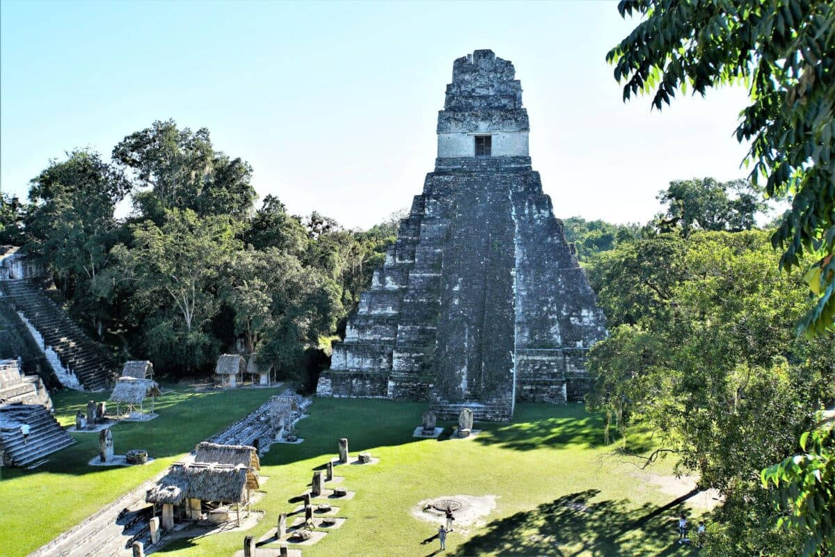 Tikal Harsh Sunlight Wallpaper