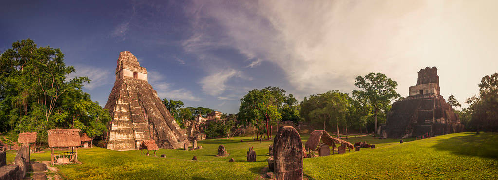 Tikal Morning Panorama Wallpaper