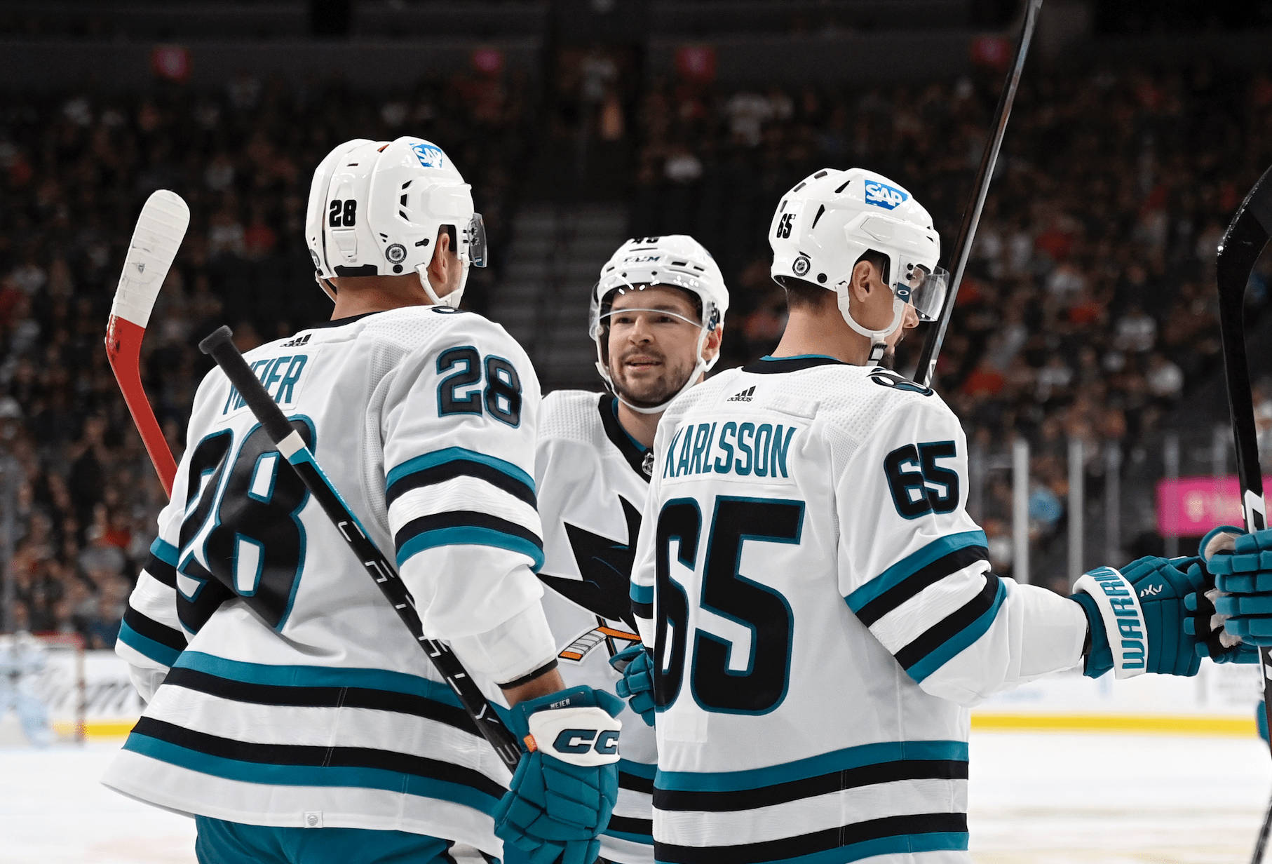 Tomas Hertl And Team Wallpaper