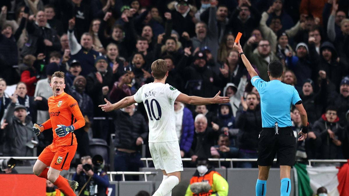 Tottenham Hotspurs Fc Member Cheering In The Stadium Wallpaper