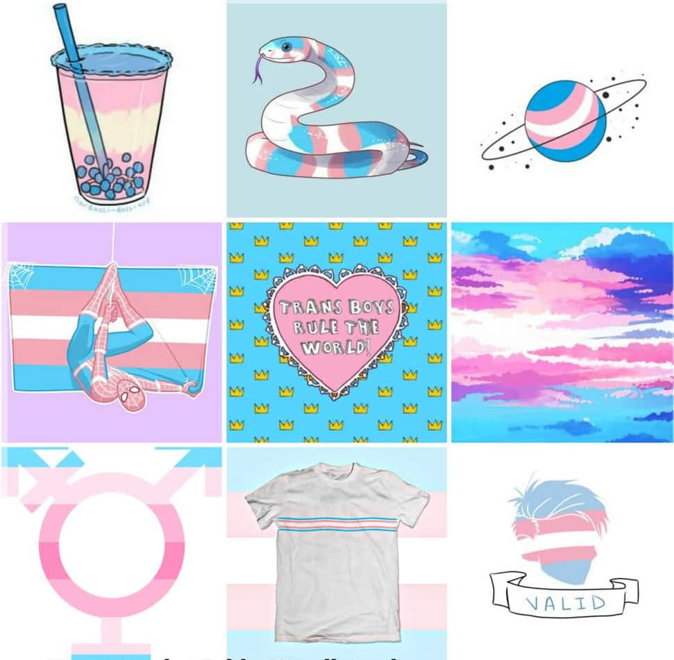 Trans Colors And Symbol College Wallpaper