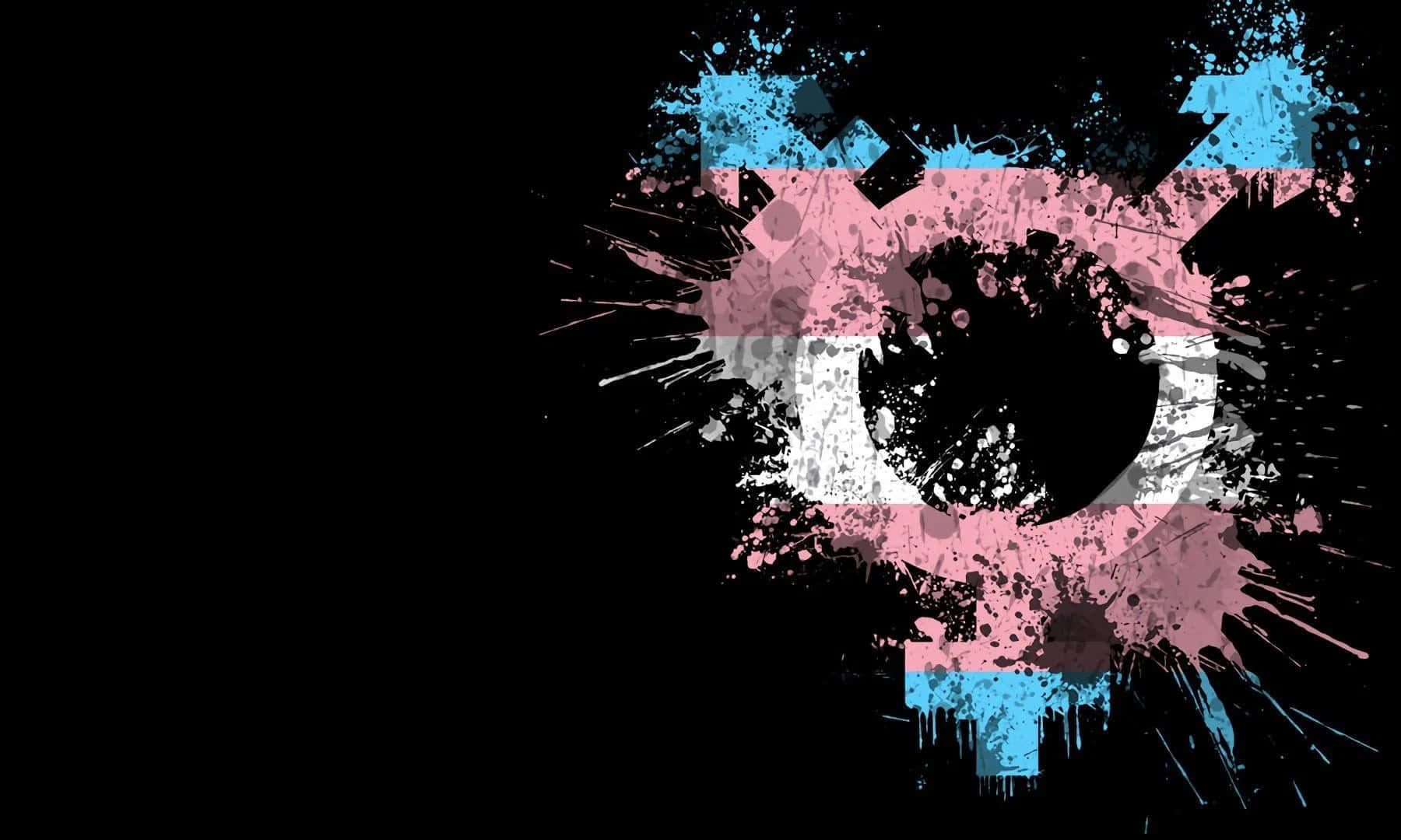 Trans Symbol And Flag Color Wallpaper