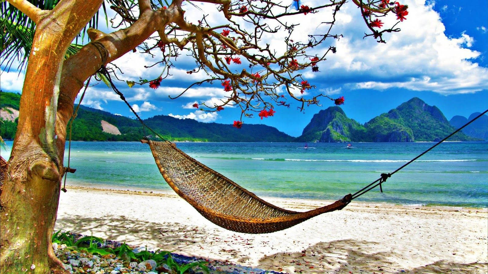 Travel Hd Hammock By The Beach Wallpaper