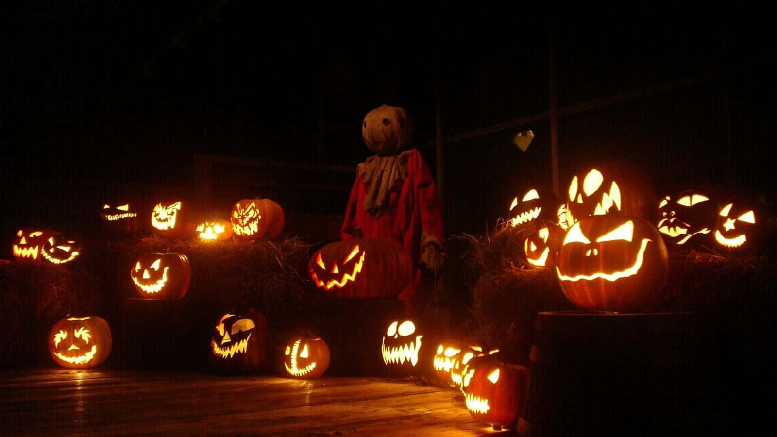 Trick R Treat Jack O' Lanterns Wallpaper