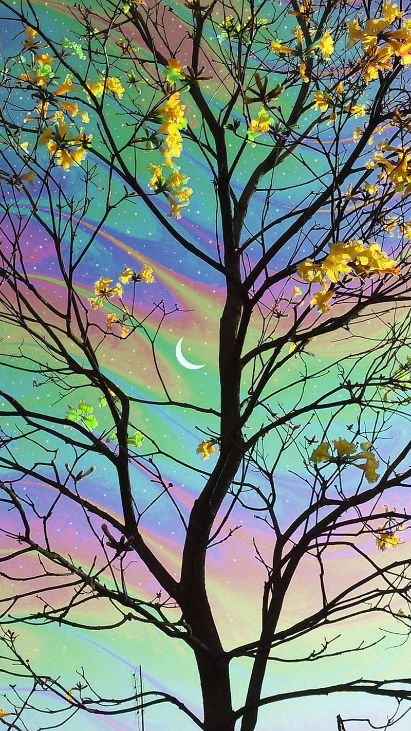 Trippy Dope Pastel Sky And Tree Wallpaper