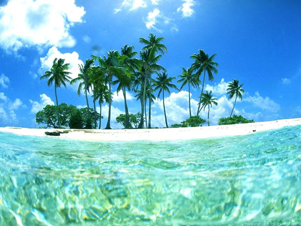 Tropical Beach Halfway Under The Water Wallpaper