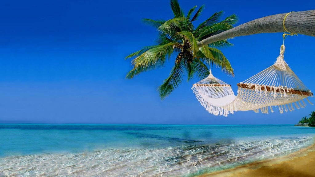 Tropical Beach Scene With Hammock Wallpaper