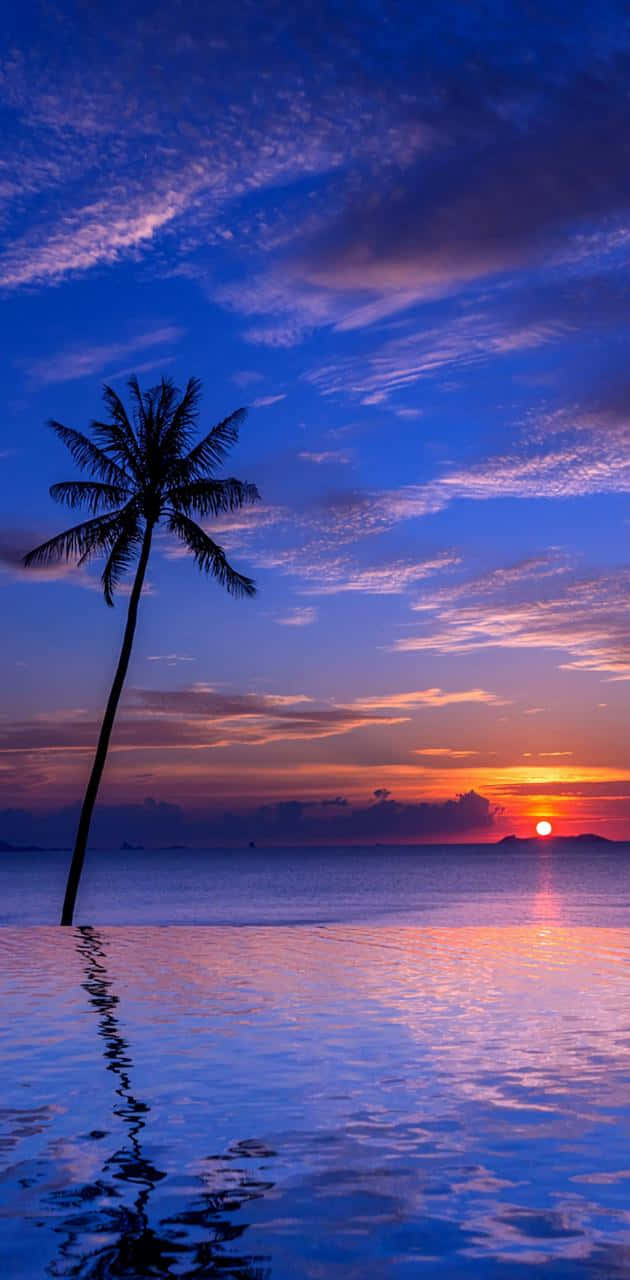 Tropical Sunset Sea Reflecting The Sky Wallpaper