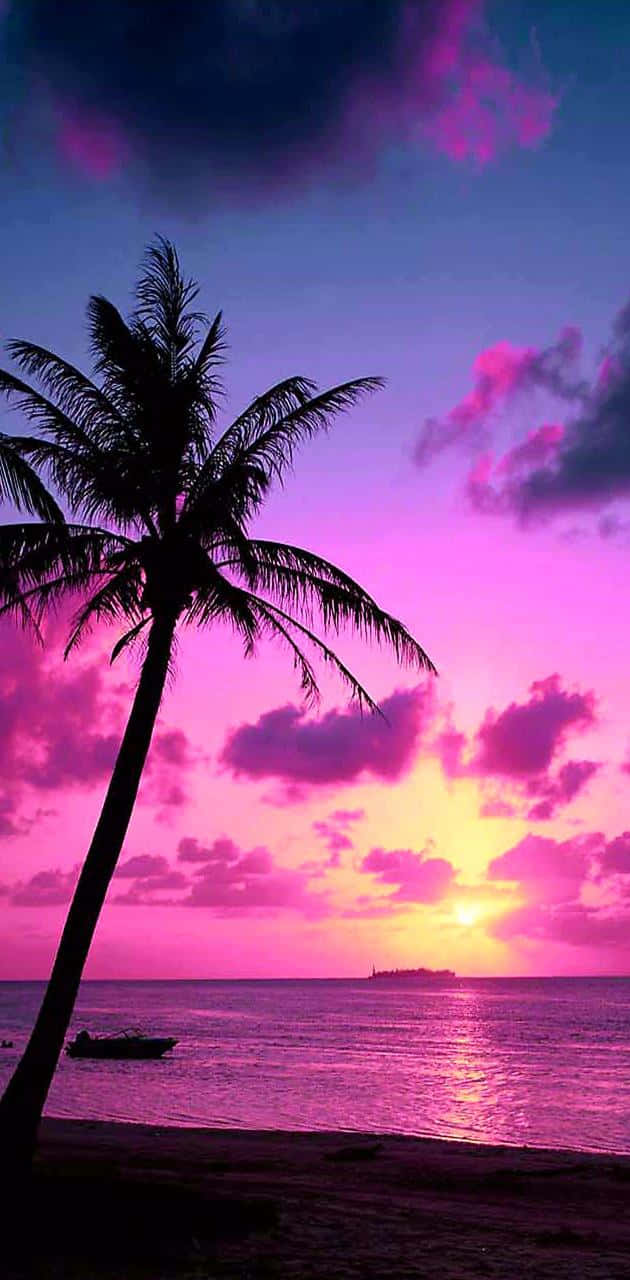 Tropical Sunset Violet Light Over The Beach Wallpaper