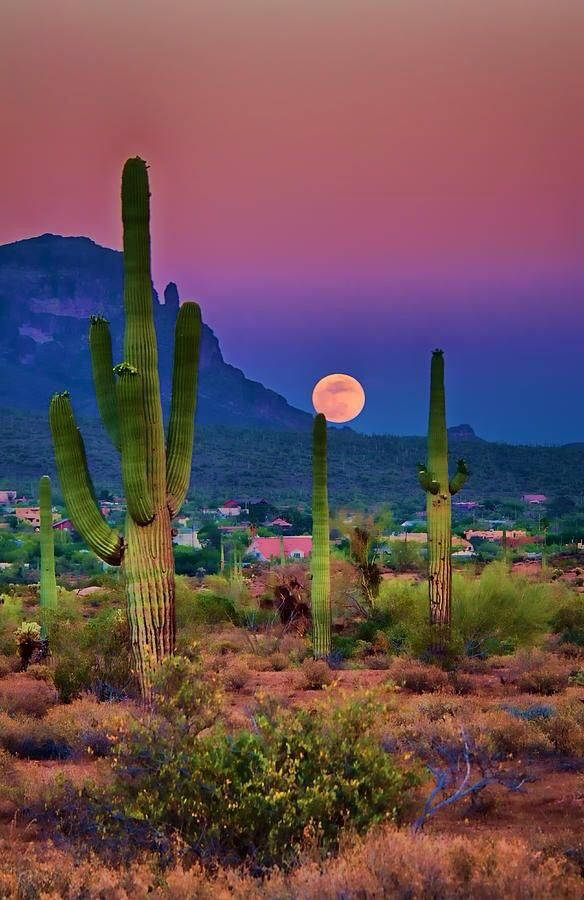 Tucson Purple Aesthetic Sunset Wallpaper