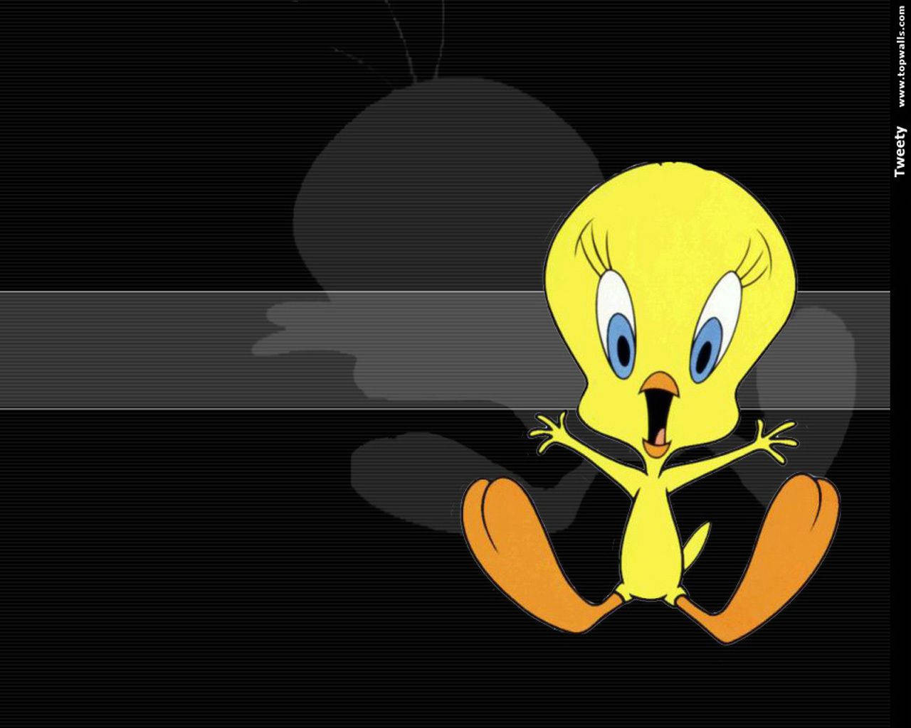 Tweety Bird On Black Background Wallpaper