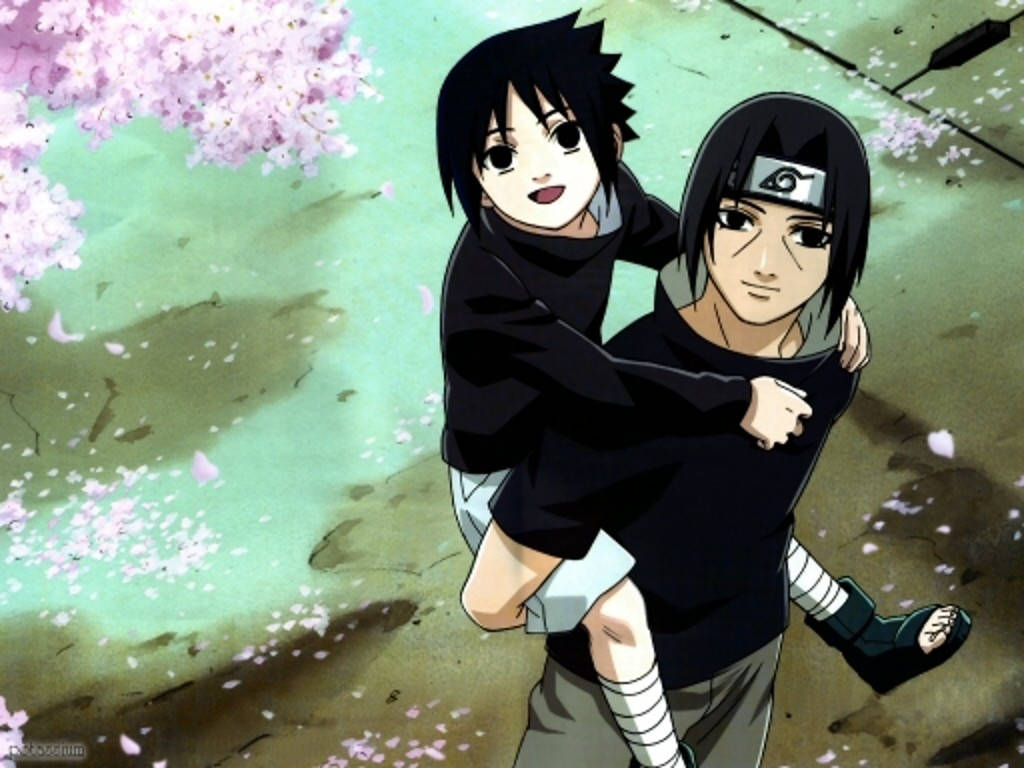 Uchiha Brothers With Sakura Flowers Wallpaper