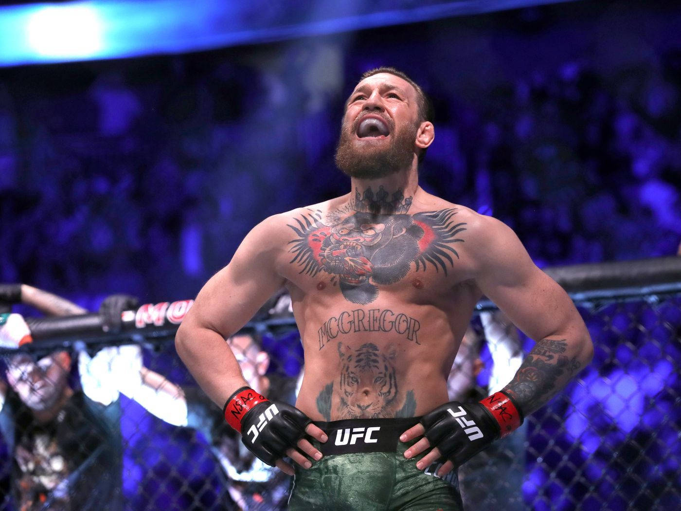 Ufc Conor Mcgregor On Ring 4k Wallpaper