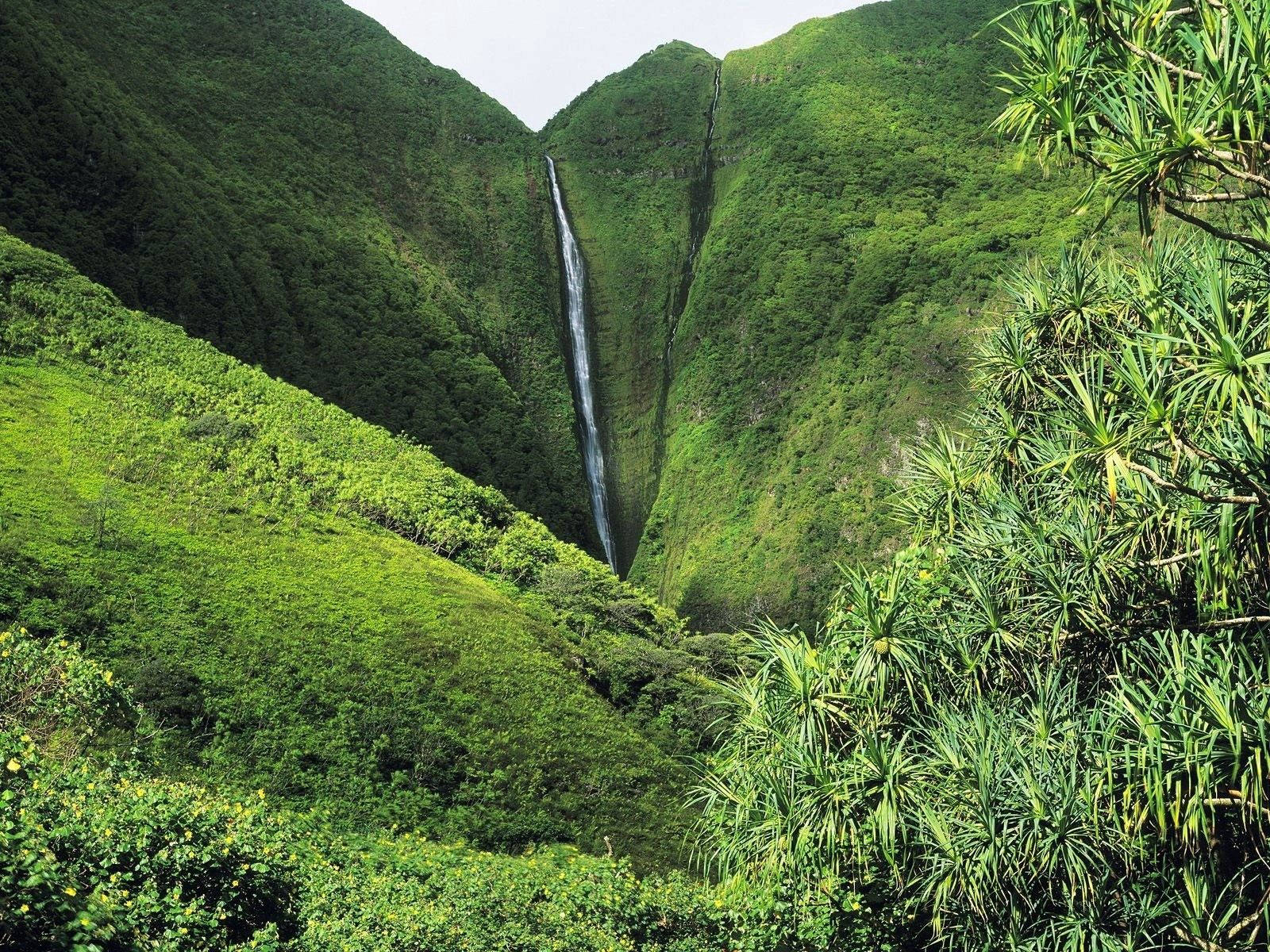 Uninterrupted Relaxation At Kahiwa Falls, Hawaii Wallpaper