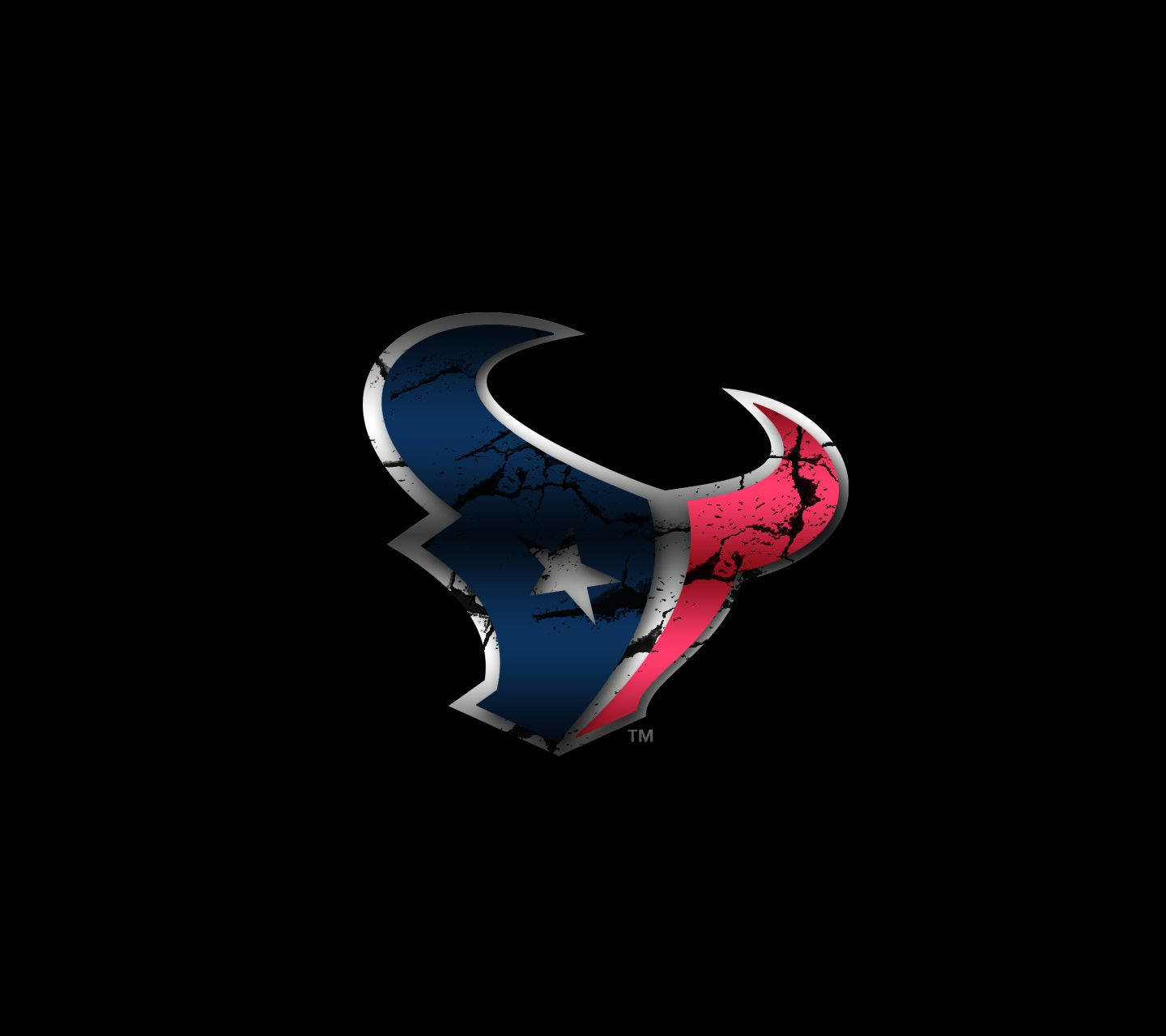 Unity In Victory – The Houston Texans Wallpaper