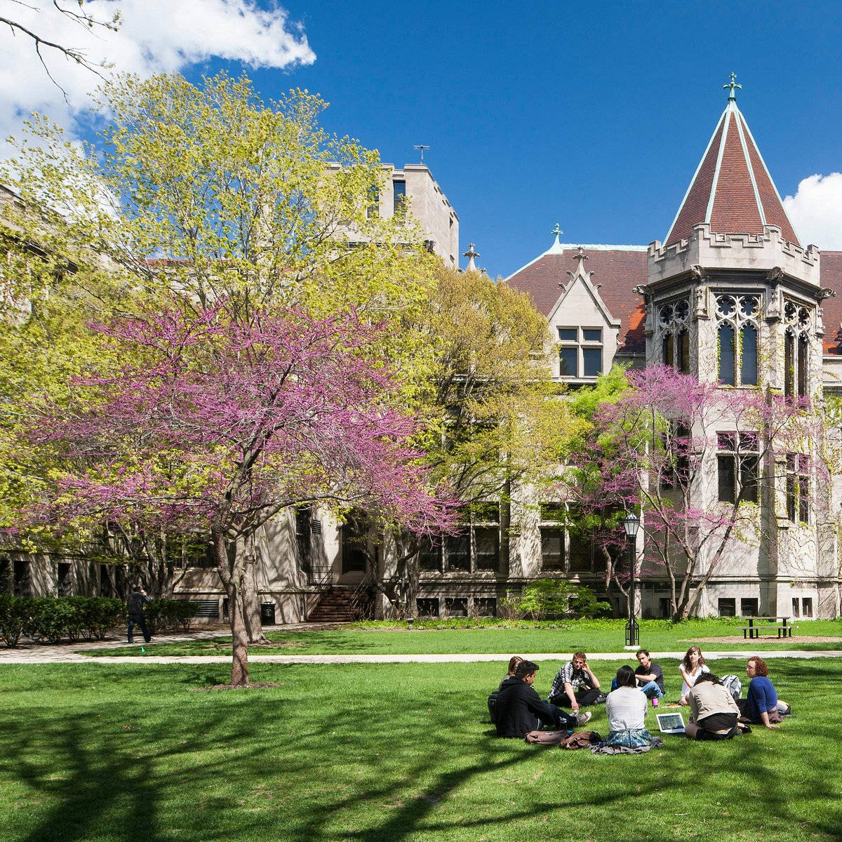 University Of Chicago Spring Wallpaper