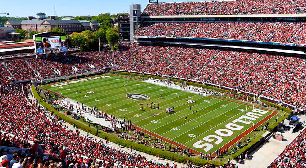 University Of Georgia Bulldogs Stadium Wallpaper