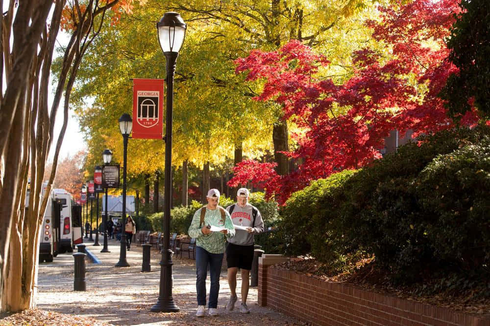 University Of Georgia Students Walking Around Wallpaper