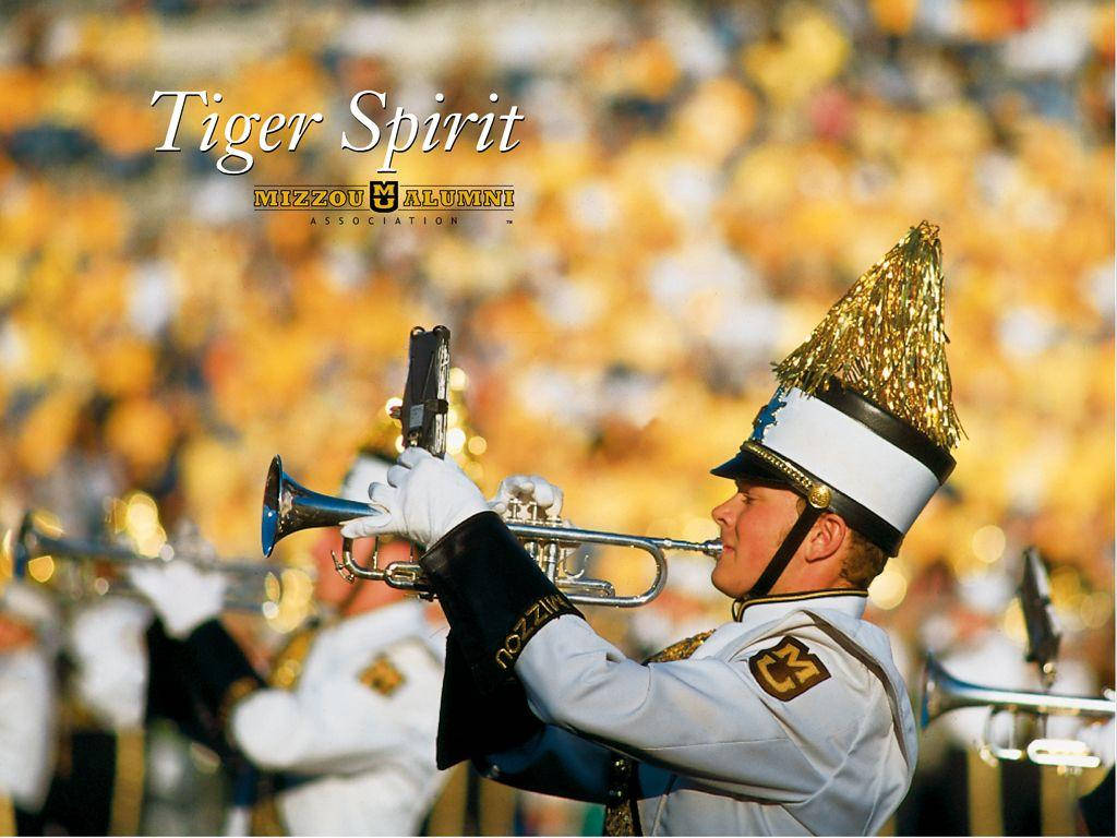 University Of Missouri Marching Bands White Uniform Wallpaper