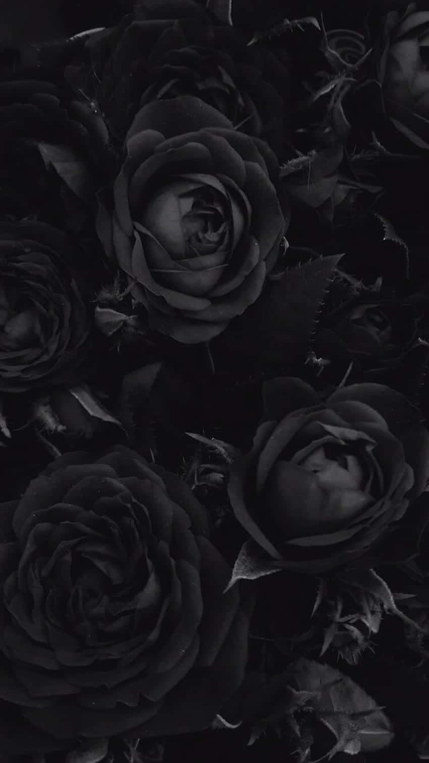 Unlock The Dark Beauty Of Goth Aesthetic Black Wallpaper