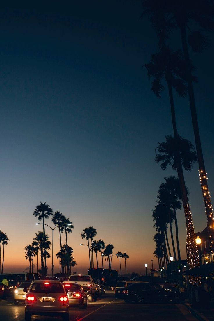 Venice Beach Sundown Establishments Wallpaper