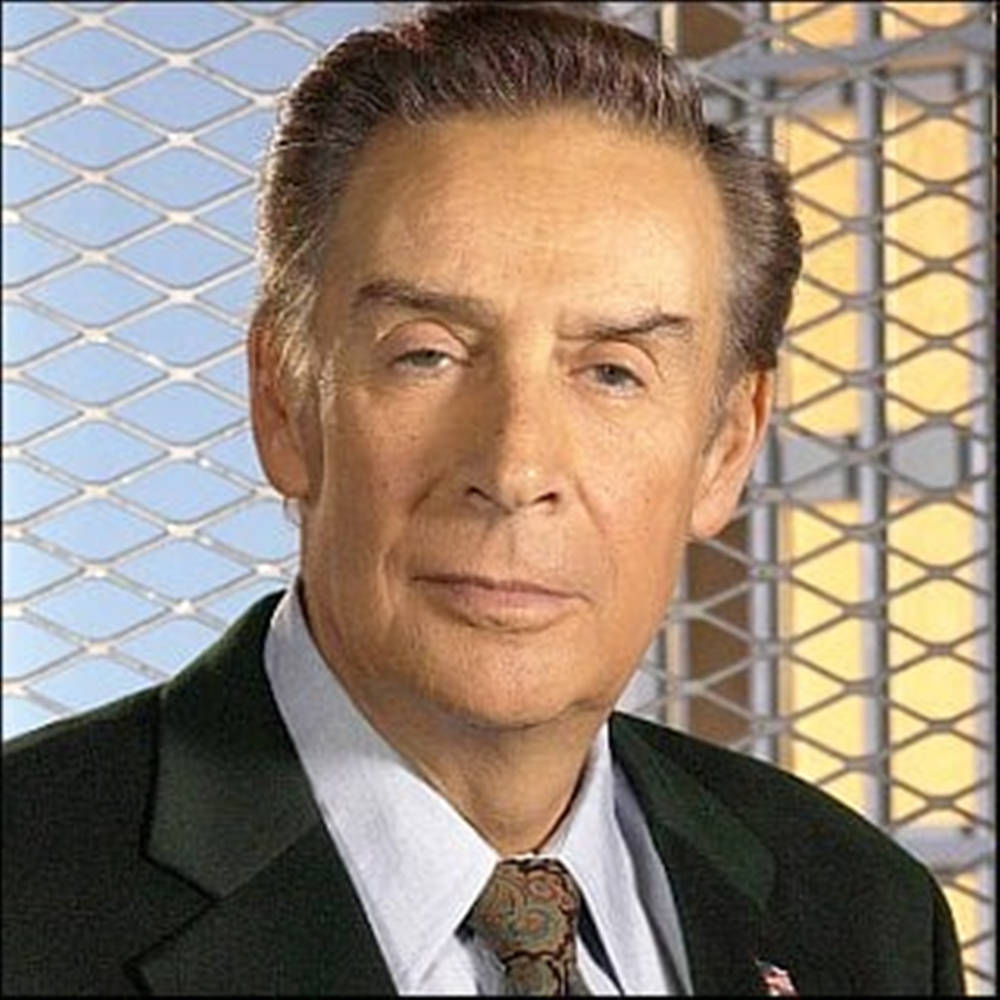 Veteran Actor Jerry Orbach Posing For A Portrait Shot. Wallpaper