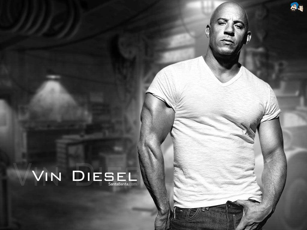 Vin Diesel, Hollywood Icon Wallpaper