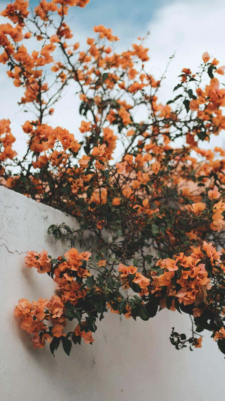 Vintage Autumn Orange Flowers Wallpaper