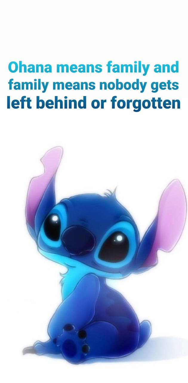 Warm Glow Of Stitch Ohana Quote Wallpaper