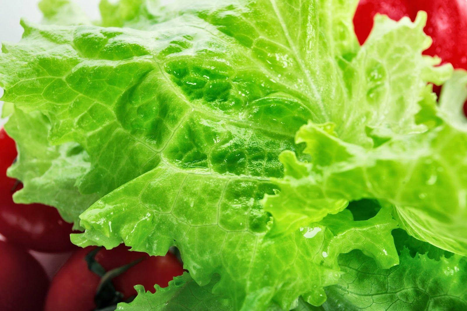 Water Droplets Lettuce Wallpaper