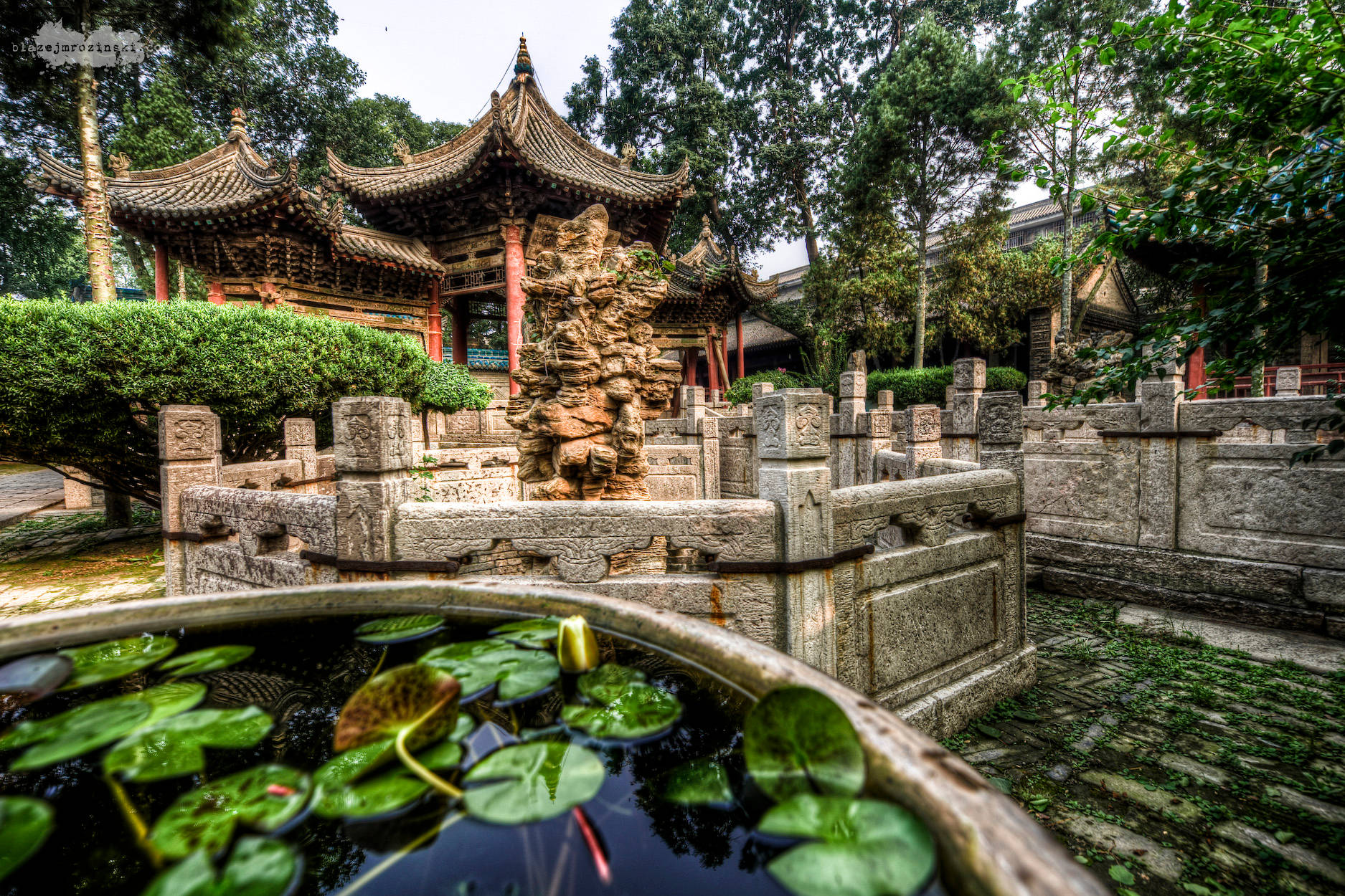 Water Lilies On Xian Mosque Wallpaper