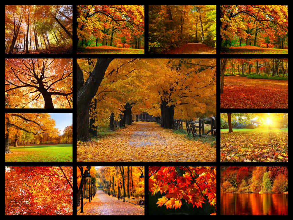 Welcome To Autumn Wallpaper