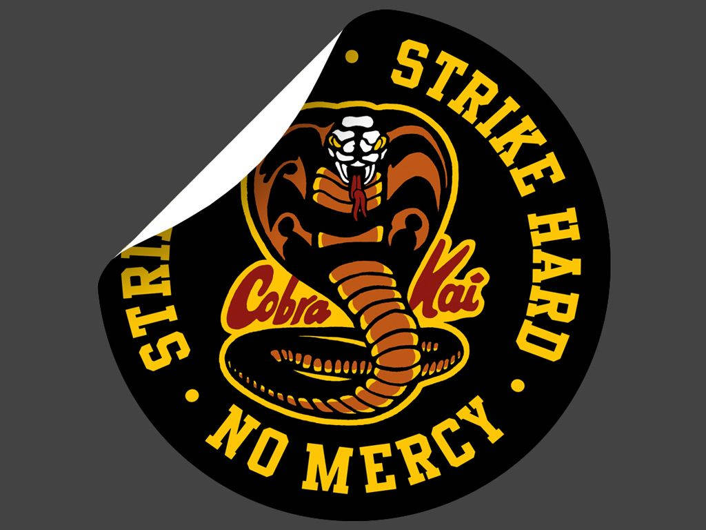 Welcome To Cobra Kai Wallpaper