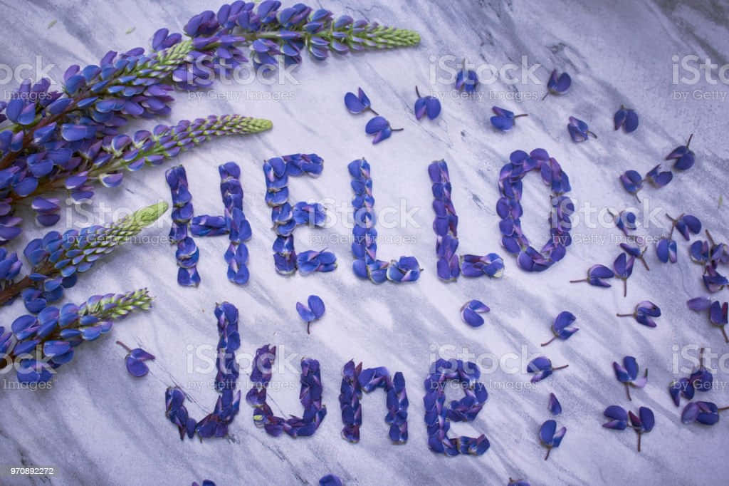 Welcome To June! Wallpaper